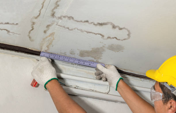Reliable Mold Remediation contractor in Edinburg, VA by Water Damage Irwin